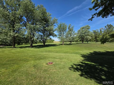 Tiny photo for 18749 225th Street, Lewistown, MO 63452 (MLS # 26030736)