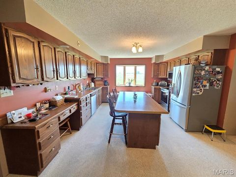 Tiny photo for 18749 225th Street, Lewistown, MO 63452 (MLS # 26030736)