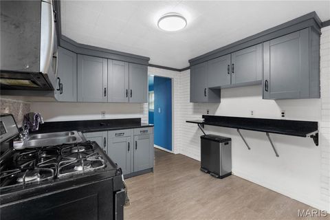 Tiny photo for 4718 Newport Avenue, St Louis, MO 63116 (MLS # 26019343)