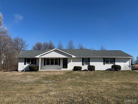 Photo of 705 N Pine Street, Laddonia, MO 63352 (MLS # 26011142)