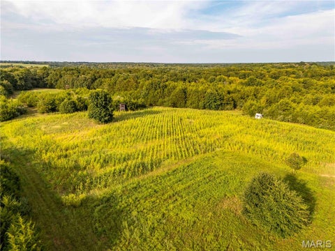 Tiny photo for 16153 Monroe Road 743, Paris, MO 65275 (MLS # 26066283)