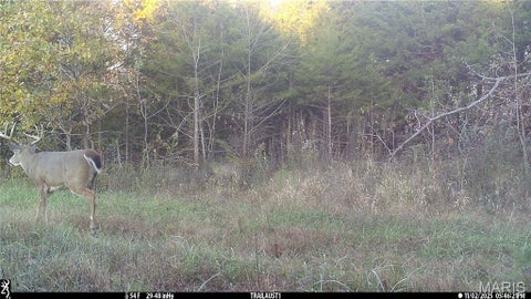 Tiny photo for 16153 Monroe Road 743, Paris, MO 65275 (MLS # 26066283)