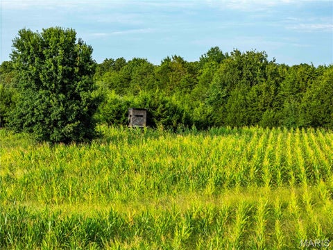 Tiny photo for 16153 Monroe Road 743, Paris, MO 65275 (MLS # 26066283)