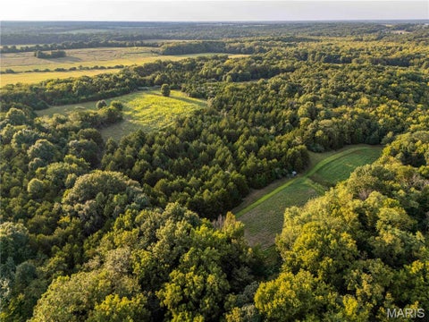 Tiny photo for 16153 Monroe Road 743, Paris, MO 65275 (MLS # 26066283)