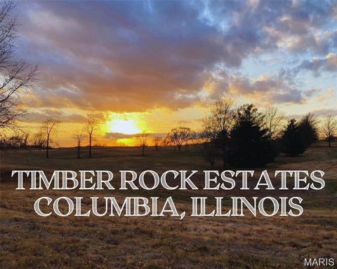 0 Timber Rock Lot 39 Columbia IL 62236