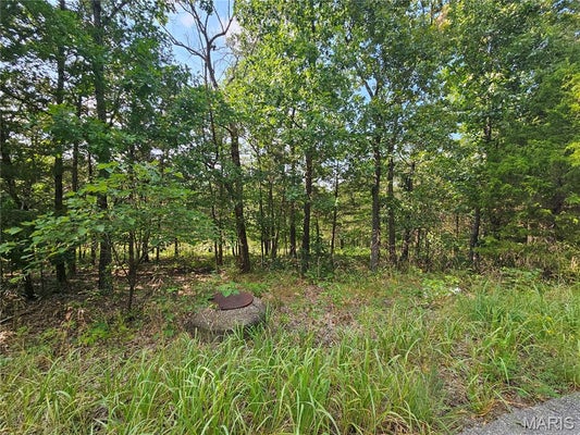 10515 EAGLES NEST DR, HILLSBORO, MO 63050 - Image 1cedc7b779fcfcfbc0f47f56efbfcda0/1501581071