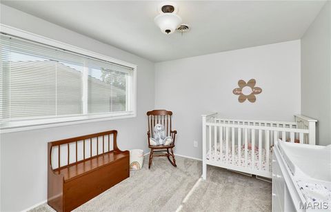 Tiny photo for 103 Calico Lane, Ballwin, MO 63011 (MLS # 26011605)