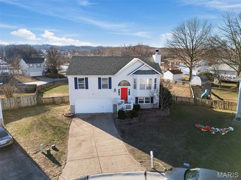 2518 Waterfront Court Imperial MO 63052