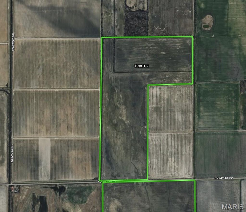 Photo of 000 CR 706, East Prairie, MO 63845 (MLS # 26020639)