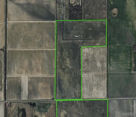 Tiny photo for 000 CR 706 #2, East Prairie, MO 63845 (MLS # 26020639)