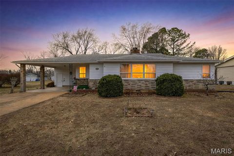 109 S Madison Street Desloge MO 63601