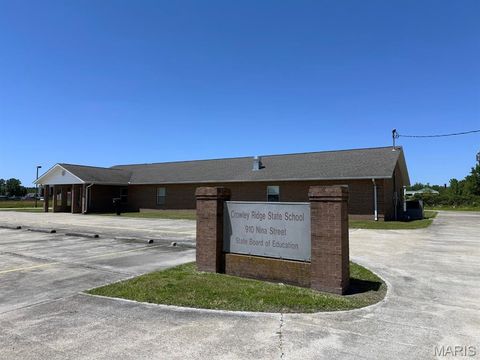 Photo of 910 Nina Street, Dexter, MO 63841 (MLS # 26030465)