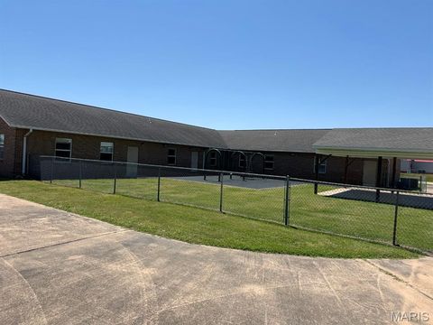 Tiny photo for 910 Nina Street, Dexter, MO 63841 (MLS # 26030465)
