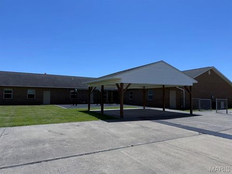Tiny photo for 910 Nina Street, Dexter, MO 63841 (MLS # 26030465)