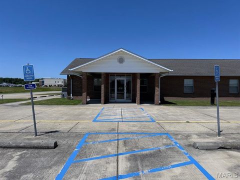 Tiny photo for 910 Nina Street, Dexter, MO 63841 (MLS # 26030465)