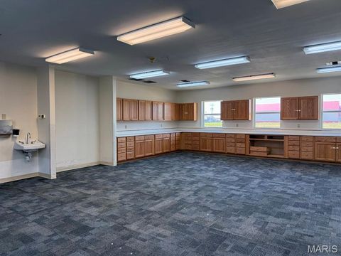 Tiny photo for 910 Nina Street, Dexter, MO 63841 (MLS # 26030465)