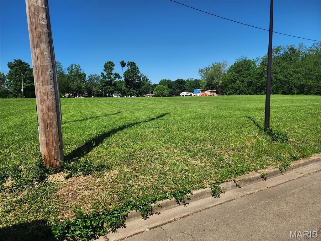 Photo of 918 Weber Road, Farmington, MO 63640 (MLS # 26026150)