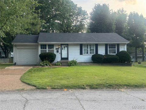 1222 Hoyt Drive Bellefontaine Nghbrs MO 63137