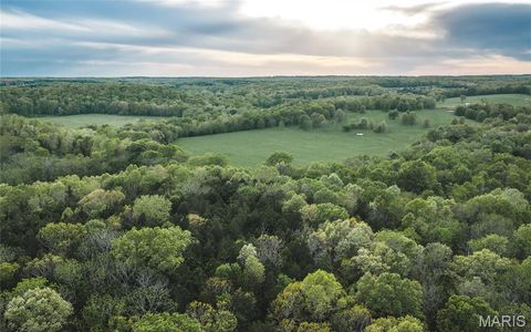 Tiny photo for 45694 Highway 72, Salem, MO 65560 (MLS # 26025849)