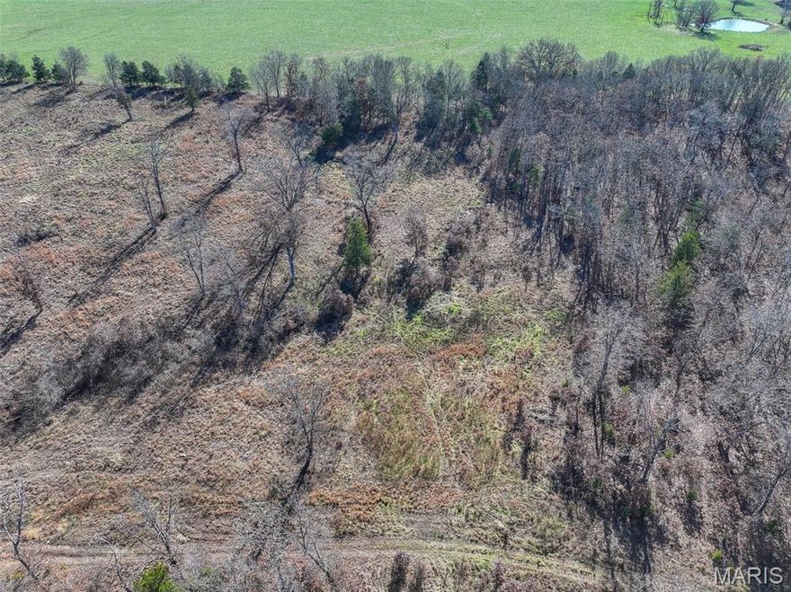 Land for sale St. Clair County Missouri Looking for a recreation piece or a perfect build spot in West Central Missouri? This beautiful 139+\- acres located in Collins Missouri has beautiful mature trees, thick cover for wildlife bedding, and primarily flat ground making this spot a perfect option for your future home or recreational land. Well well and poower already established, you'll be ready to build any time! There are multiple trails throughout the property, food plot locations, and full of wildlife. While viewing this property you will have promising opportunities to see Quail, Deer, Turkey, and more. Truman and Pomme De Terre lake are both a short drive providing ample opportunity for weekends of fishing or boating. Recreational Property for sale Collins MO The property is in the desired, Weaubleau School district. Collins Missouri is within and hour from Springfield Missouri and an hour and a half to Kansas City Missouri. It sits just a short 30 minutes from Bolivar Missouri holding you local hospital, grocery stores, and basic shopping.