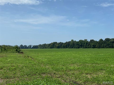 Tiny photo for 25100 State Hwy. AB, Essex, MO 63864 (MLS # 26057840)