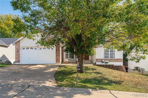 Photo of 1904 Iditarod Trail, Festus, MO 63028 (MLS # 25070263)