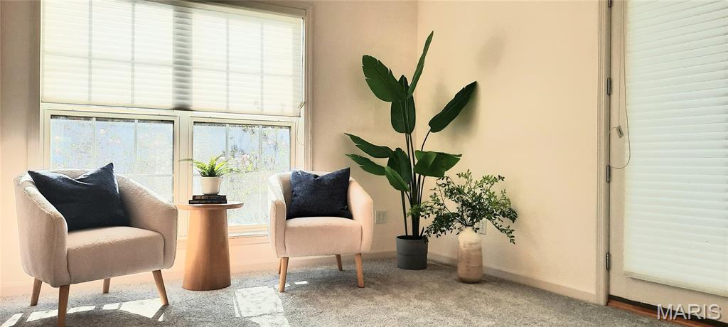 Carlton Manor Condo - Residential