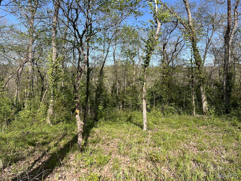 Zoar Ridge Estates - Land