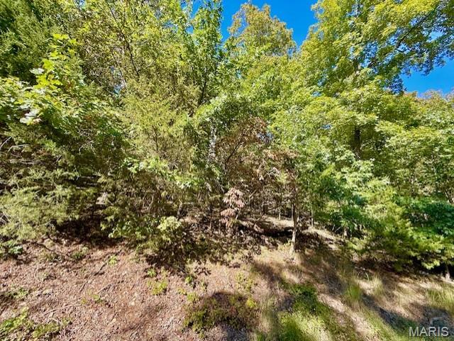 Lake Sherwood Estates - Land
