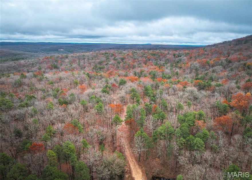 70 m/l acres of wooded land in St. Francois County Missouri. This property would make a great spot for a hunter's retreat or a potential build site for anyone wanting quiet living. Approximately 5 miles to the highway and 11 minutes from the nearest town for amenities. Property is located approximately 5 miles from St. Joe State Park and just over an hour from St. Louis.