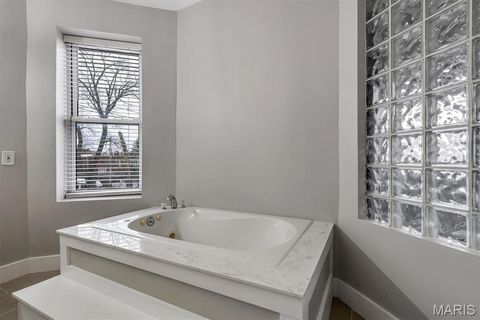 Tiny photo for 3500 California Avenue, St Louis, MO 63118 (MLS # 26000095)