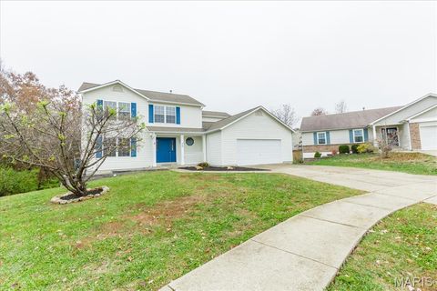 Tiny photo for 25 Moonlight Court, Wentzville, MO 63385 (MLS # 25077824)