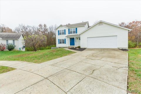 Tiny photo for 25 Moonlight Court, Wentzville, MO 63385 (MLS # 25077824)