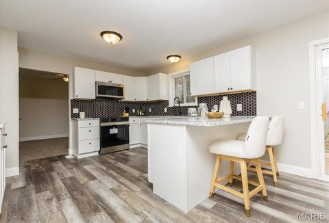 Tiny photo for 25 Moonlight Court, Wentzville, MO 63385 (MLS # 25077824)