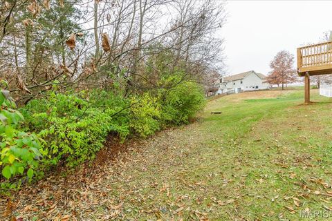 Tiny photo for 25 Moonlight Court, Wentzville, MO 63385 (MLS # 25077824)