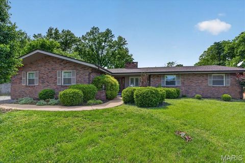 Photo of 63 Lincord Drive, St Louis, MO 63128 (MLS # 26031510)