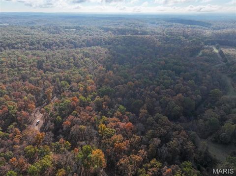 Photo of 0 Tower Road, Bonne Terre, MO 63628 (MLS # 25074620)