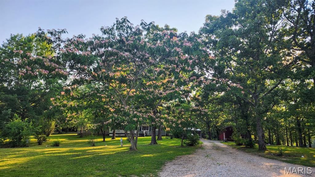 Photo of 2066 State Road Jj, Stoutland, MO 65567 (MLS # 26019265)