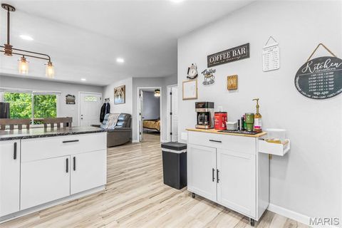 Tiny photo for 6049 Betty Lane, French Village, MO 63036 (MLS # 26030395)