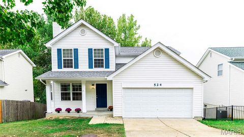 Photo of 524 Elm Crossing Court, Ballwin, MO 63021 (MLS # 25071025)