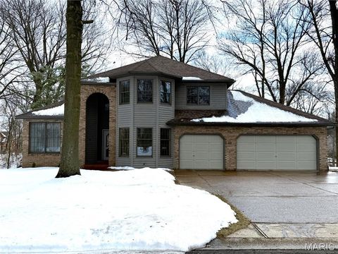 40 Sugar Lane Collinsville IL 62234