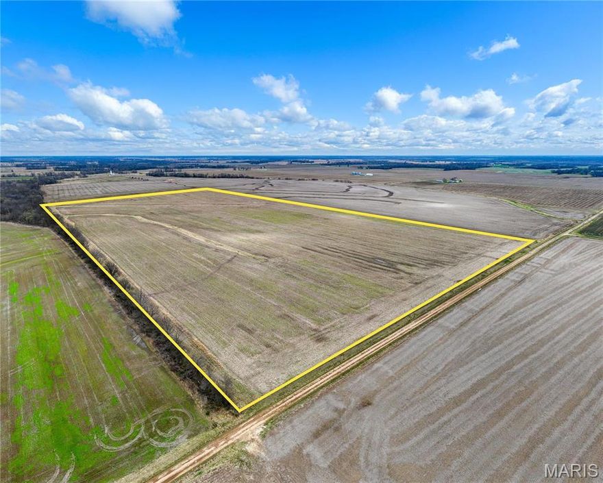 Productive 82.5 surveyed acres in Shelby County! Approximately 73 acres tillable.  2.8 acres in CRP.  4.4 acres in waterways, Tile terraces constructed by current owner.  Cash rented for 2025. Soil types consist of Putnam, Mexico, and Leonard.  $11,000/acre