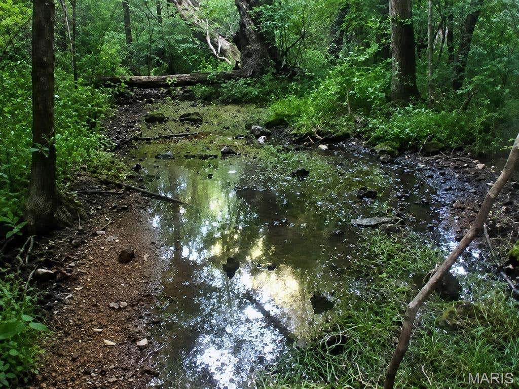 Photo of 00 County Road 5, Viburnum, MO 65566 (MLS # 26037934)