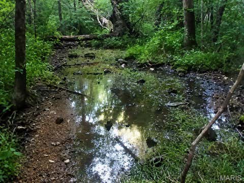 Photo of 00 County Road 5, Viburnum, MO 65566 (MLS # 26037934)