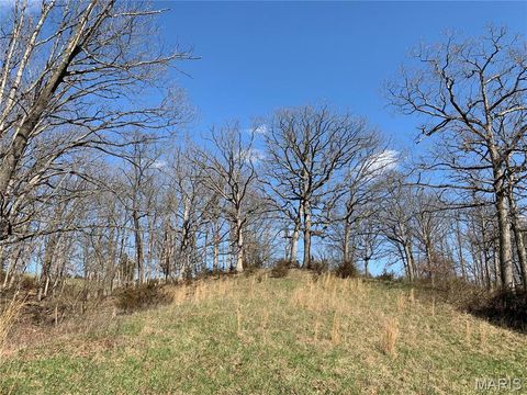 Tiny photo for 1301 N Highway 47, Warrenton, MO 63383 (MLS # 23016162)