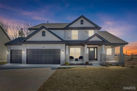 310 Osprey Court Lake St Louis MO 63367