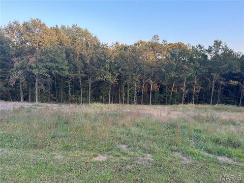 Tiny photo for 130 Bristol Ridge Drive, Troy, MO 63379 (MLS # 25045131)