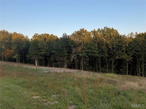 Photo of 130 Bristol Ridge Drive, Troy, MO 63379 (MLS # 25045131)