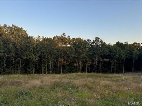 Tiny photo for 130 Bristol Ridge Drive, Troy, MO 63379 (MLS # 25045131)