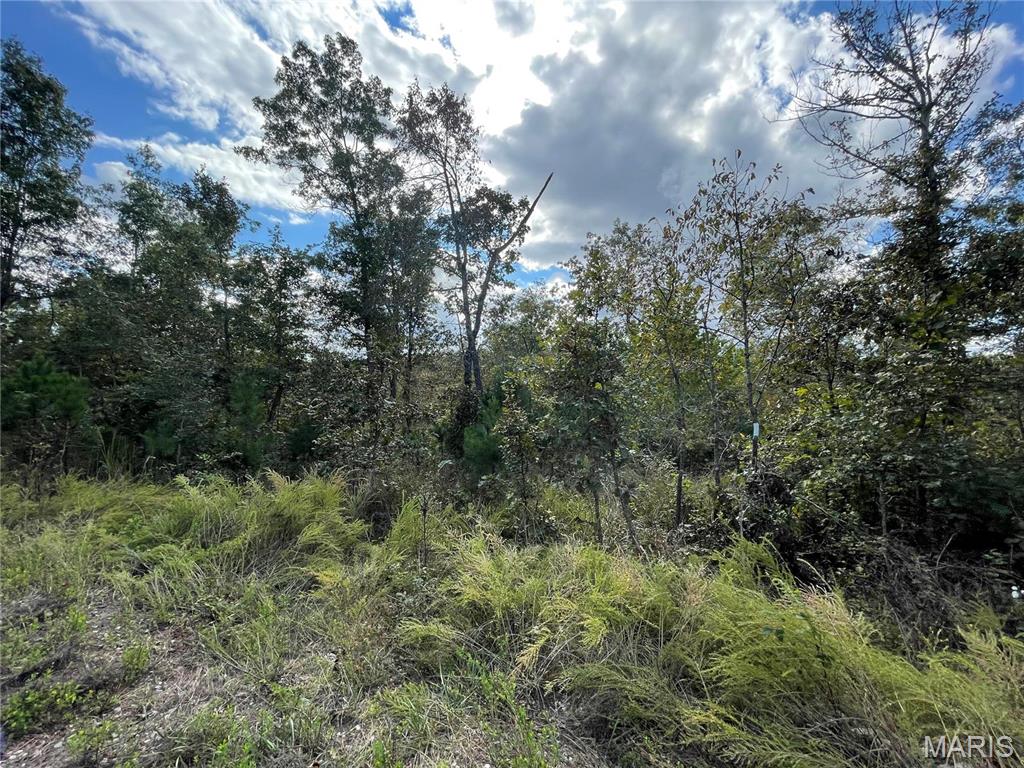 Woodland Heights - Land